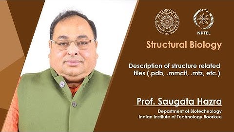 Description of structure related files (.pdb, .mmcif, .mtz, etc.)