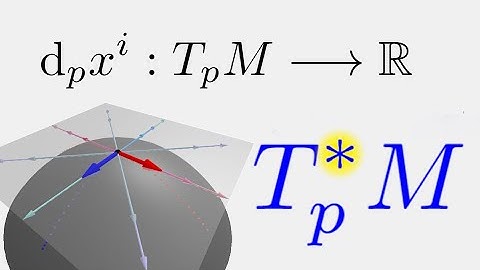 Manifolds #7: Cotangent Space