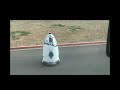 FUNNY! Security Gaurd Robot - I Have seen it all! / Grey Wolf 96441/556859