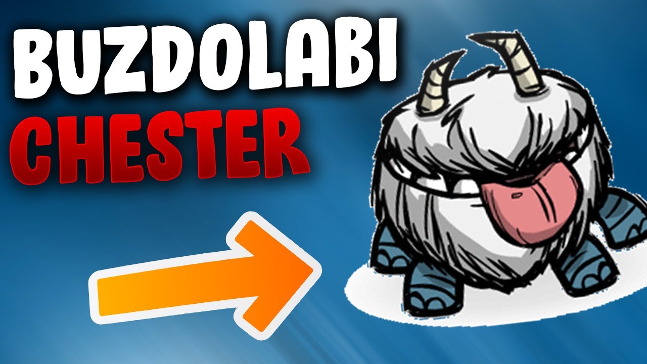 Don't Starve Together Rehber Chester Nerede Bulunur ? YouTube