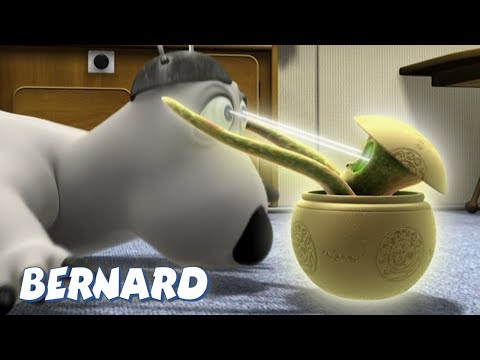 Bernard Bear | Close Encounters AND MORE | 45 min Compilation | Cartoons for Children