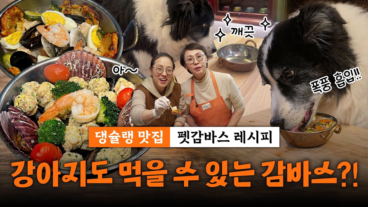 댕슐랭 맛집 | 자매의부엌에서만 볼 수있는 펫감바스👍| 우리집 댕댕이도 먹을 수 있어요😍