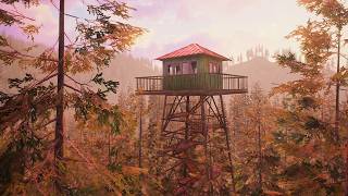 ADA ORANG HILANG DI HUTAN INI.... Forest Lookout ADA ORANG HILANG DI HUTAN INI.... Forest Lookout