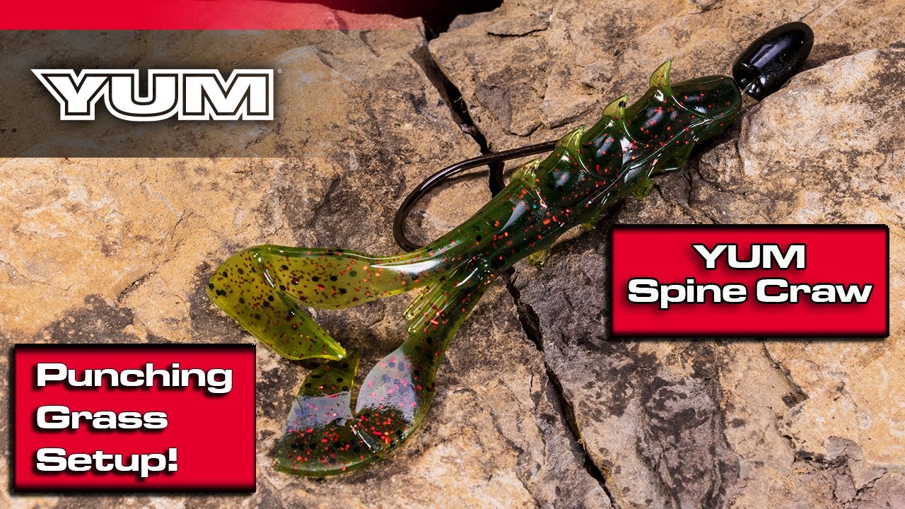 YUM Spine Craw Punching Grass Setup! (How To Rig) 