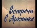 ВСТРЕЧИ В АРКТИКЕ