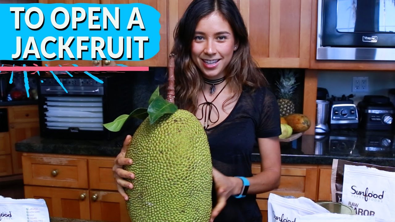 HOW TO OPEN A JACKFRUIT + RECIPES YouTube