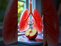 5 Foods Every Smoker Should Eat To Support Healthy Lungs SmokerTips LungHealth HealthyEating 5 Foods Every Smoker Should Eat To Support Healthy Lungs SmokerTips LungHealth HealthyEating