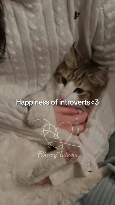 Introverts happiness....#kpop #btsarmy #fypシ #aesthetic #bts #music #trending #song @CherryAutumn9