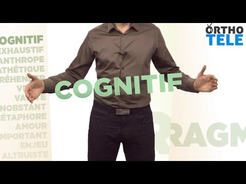 Décortiquons le mot « Cognitif » - Orthodidacte.com