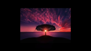 قرآن راحة نفسية -تلاوات خاشعه للشيخ ياسر الدوسري حفظه الله #قرآن #اكسبلور  @إسلاميات
