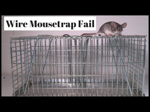 Wire Cage Mousetrap Fail. Good Design With One Major Flaw - Mousetrap  Monday 