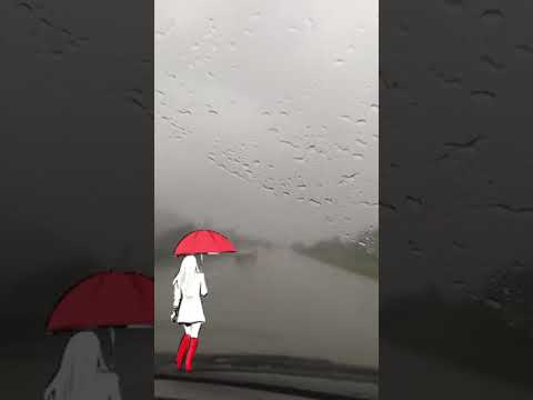 تراپی مال بچه های الانه ما بارون ک میاد هایده پلی میکنیم شمال ایران کلیپ سفر عشق ترند جاده