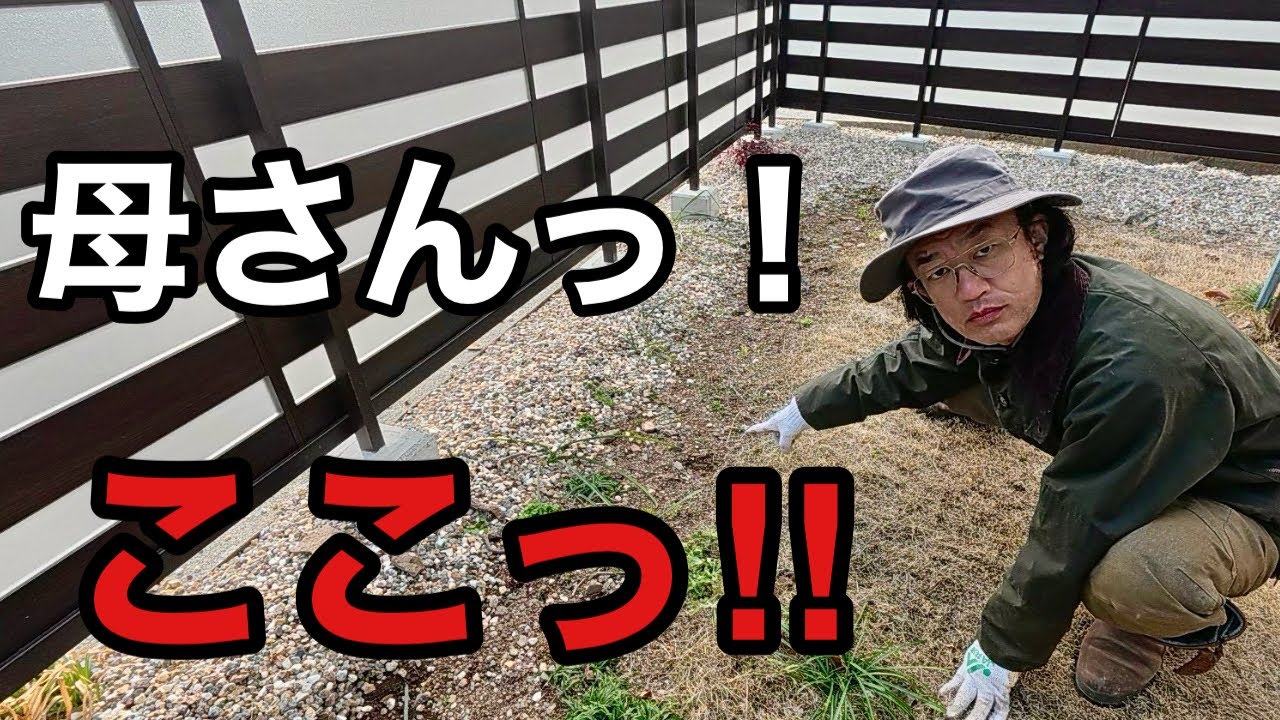 実家の母が花壇を作ってる事に気づいた息子の言動がヤバい　　【園芸超人カーメン君】