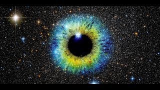 Dream of Our Species - Terence Mckenna
