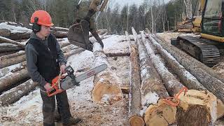 Logging with Dad and cousin Simon Feb 2024