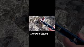 ベルモント【一刀両断ハサミ - ikejime】製品紹介