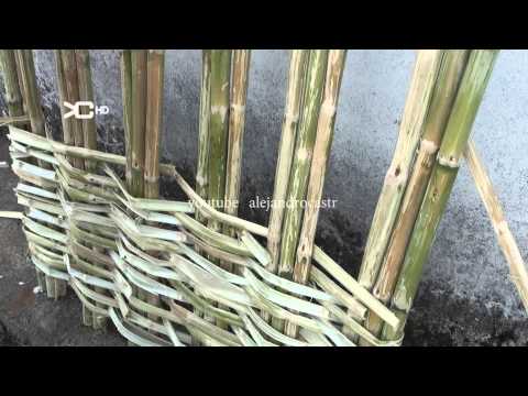 Video: ¿Qué es una cúpula de sauce? Información sobre la construcción con ramas de sauce