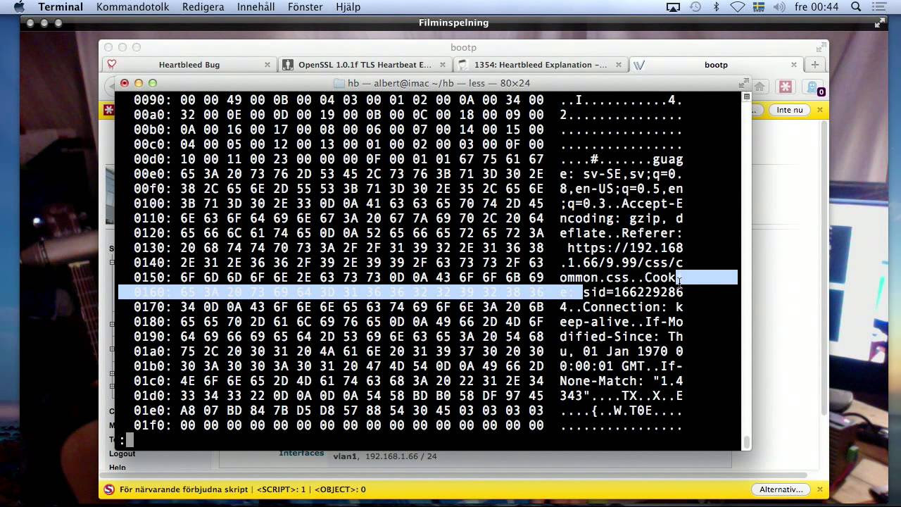 heartbleed New Bản trình diễn Heartbleed