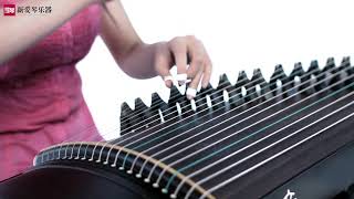 从零起步学古筝【142】木卡姆散序与舞曲（三）Chinese musical instruments guzheng 新爱琴乐器