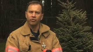 Holiday Tree Safety