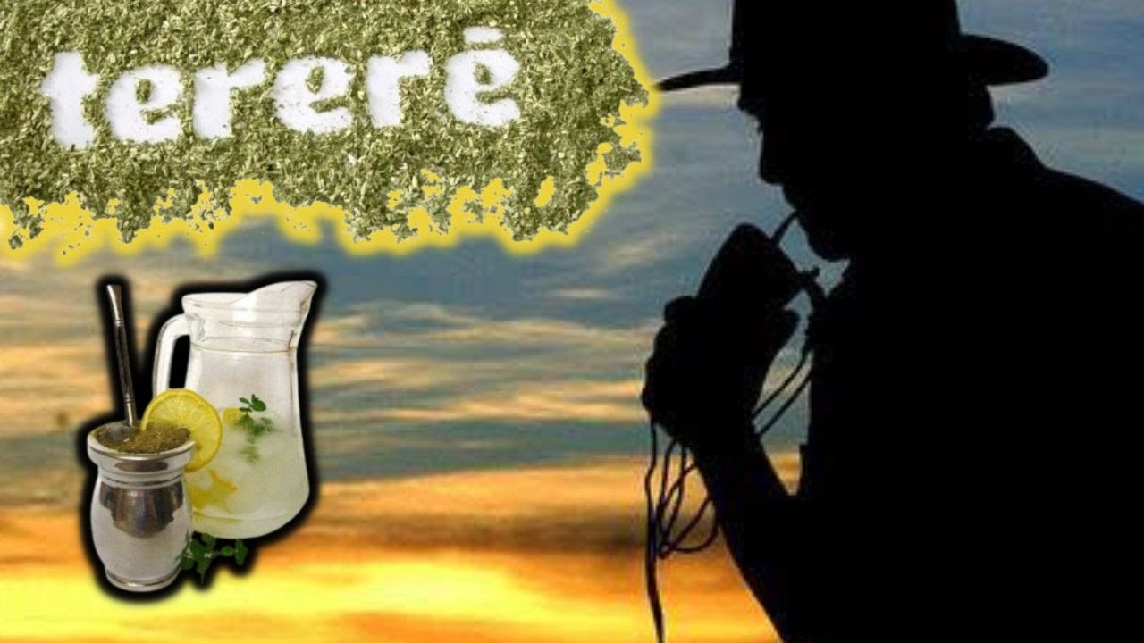 BENEFÍCIOS e MALEFÍCIOS do TERERÉ PARA SAÚDE - YouTube