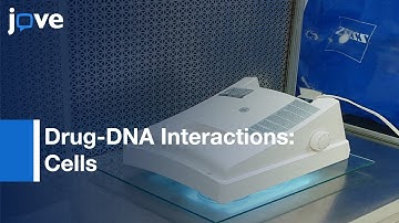 Genome-Wide Mapping: Drug-DNA Interactions In Cells with COSMIC