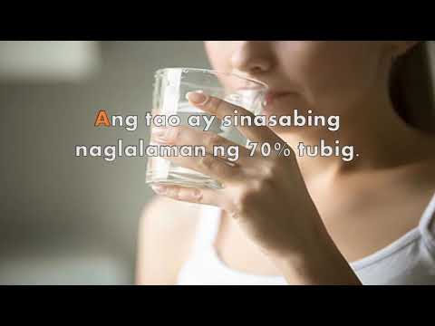 Video: Bakit mahalaga ang tubig sa biology ng buhay?