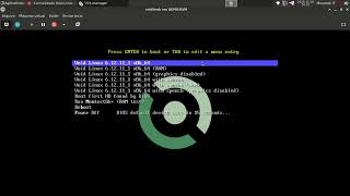 Celebrity #4: Instalação do Void Linux base (comunidade VoidLinuxBR) Profile