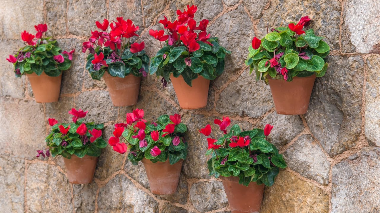Flores El Patio Flores El Patio