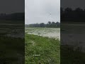 Aah Oi Aah || Dikshu Song #mahindra #farming #assamesesong