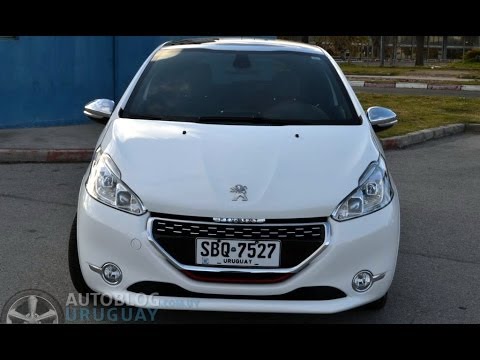 Crash Test Del Press Day De Global Y Latin Ncap En Adac Youtube