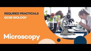 Microscopy Madness - GCSE Biology