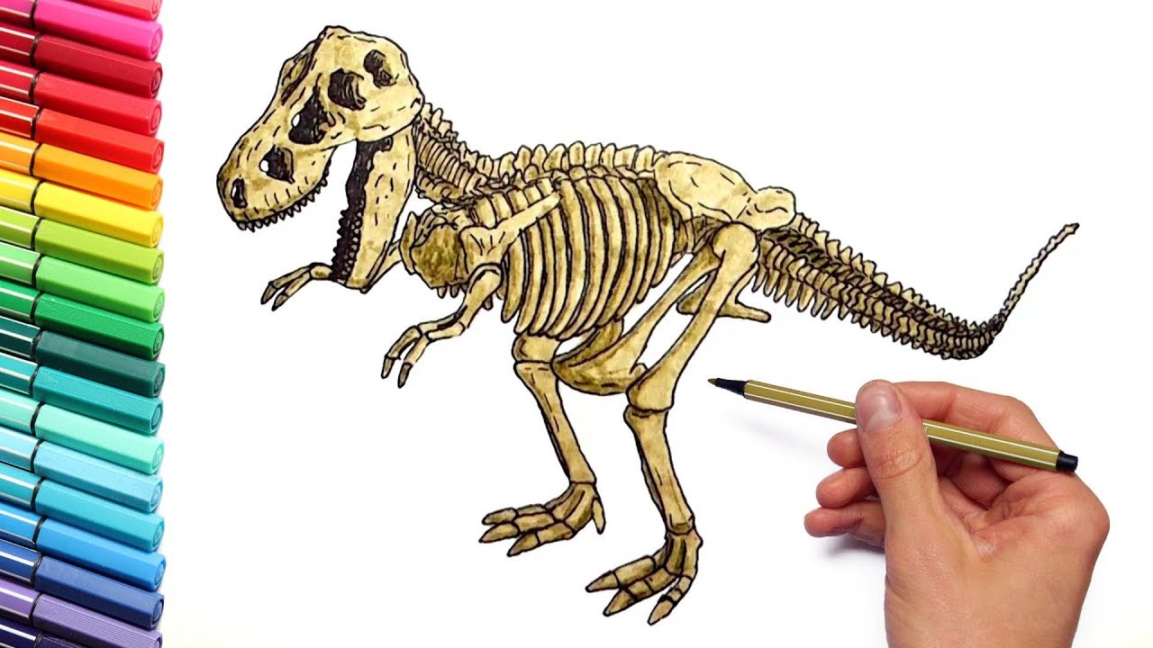 Dinosaur Skeleton Color Pages for Childrens - Drawing and Coloring T