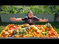 Change of Seasons Organic Backyard Food Garden Harvest