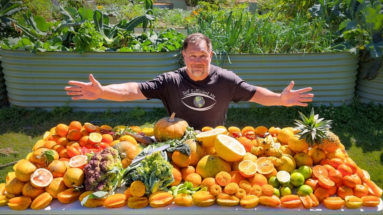 The Final Big HARVEST from the 2023 GARDEN | 1/4 Acre Homestead