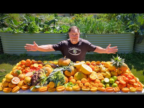 Change of Seasons Organic Backyard Food Garden Harvest