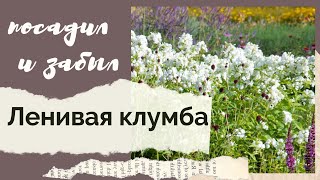 Ленивая клумба из многолетников -  что посадить для шикарного цветения с малым уходом