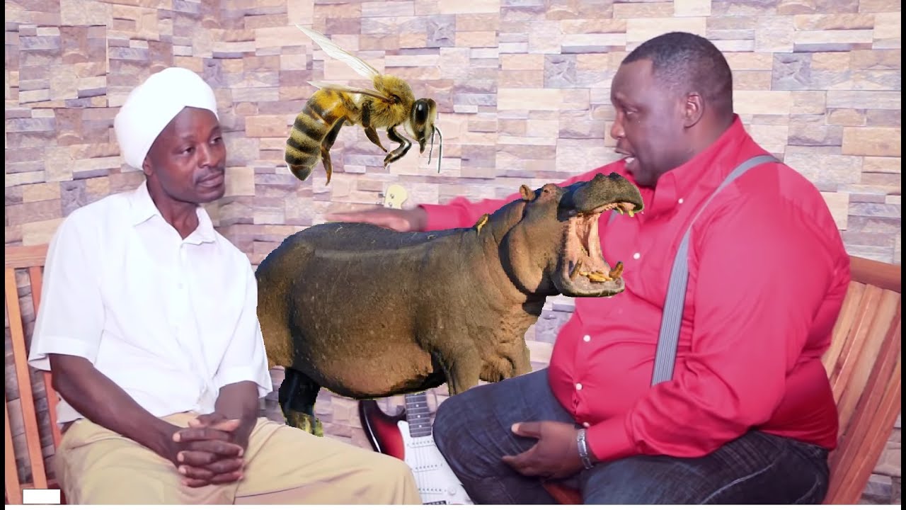 Githingithia na Njaramba - Nguo na Njuki [Hippos and Bees