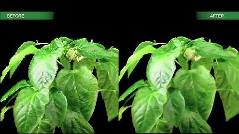 GrovetyUpscaleNet10 results on Xilinx ZCU102