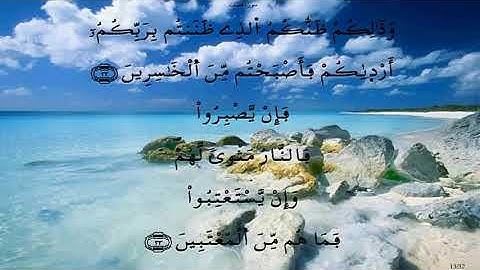 سورة فصلت(العيون الكوشي)