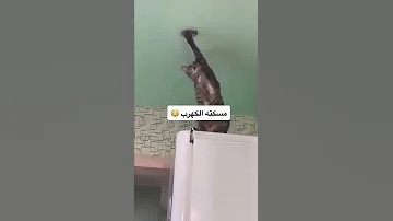 مين فيكم حب يصلح الكهرباء حصل معاه كده 
