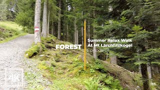 Cloudy Lush Mountain Forest Walk ASMR, Walking in Sunny - Rain | Nature Sounds for Sleep screenshot 5