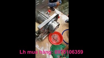 Máy tách xương cá thác lác, máy ép cá thác lác, máy tách xương cá Cr300, máy ép cá tự động