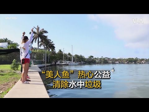 “美人鱼”热心公益，清除水中垃圾    游泳方式特别，四次进入吉尼斯纪录