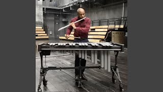 Experiment on Solo Flute and Vibraphone No. 1