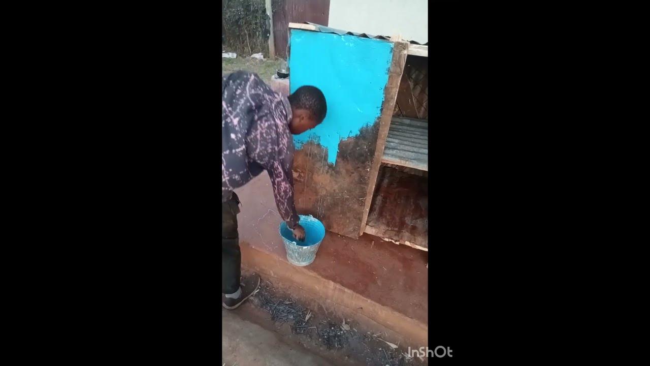 simple-chicken-house-youtube