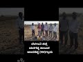 #point #browell #belagavi #shrots 🥰#water #song #Kannada #reels #youtubeshorts