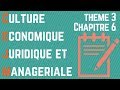 Cejm  th3 chap6  lorganisation des ressources et des comptences