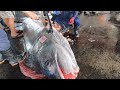 Stunning Giant Marlin &amp; Bluefin Tuna Cutting Skills Unleashed by Gorgeous Chefs! 🍣🔪