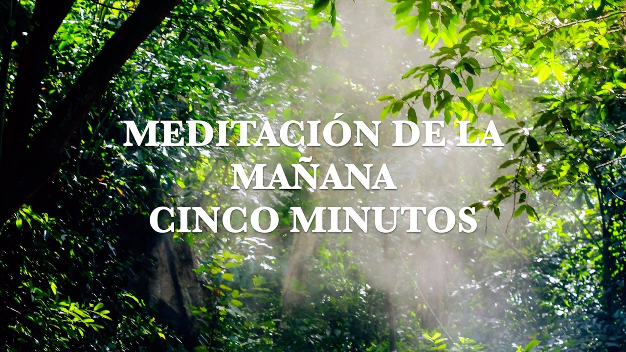 Meditación de la mañana | 5 minutos de mindfulness para empezar el día ...